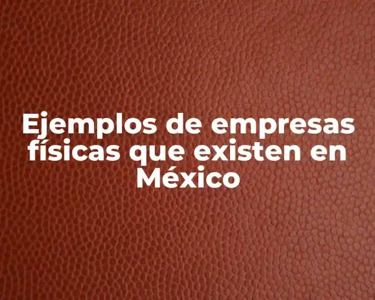 Ejemplos de empresas físicas que existen en México