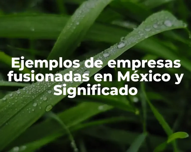 Ejemplos de empresas fusionadas en México y Significado