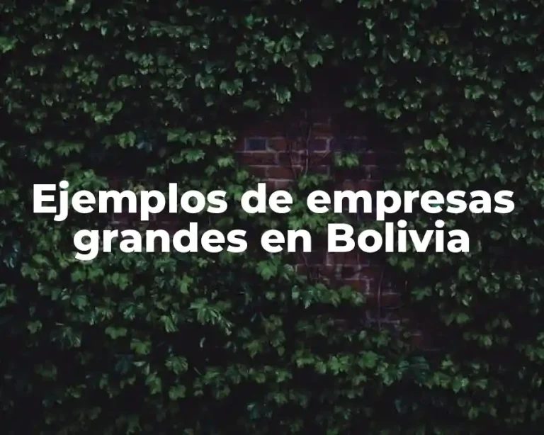 Ejemplos de empresas grandes en Bolivia
