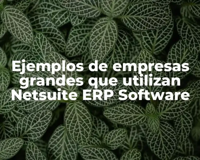 Ejemplos de empresas grandes que utilizan Netsuite ERP Software