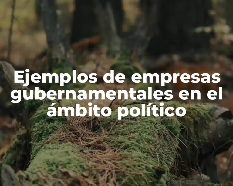 Ejemplos de empresas gubernamentales en el ámbito político