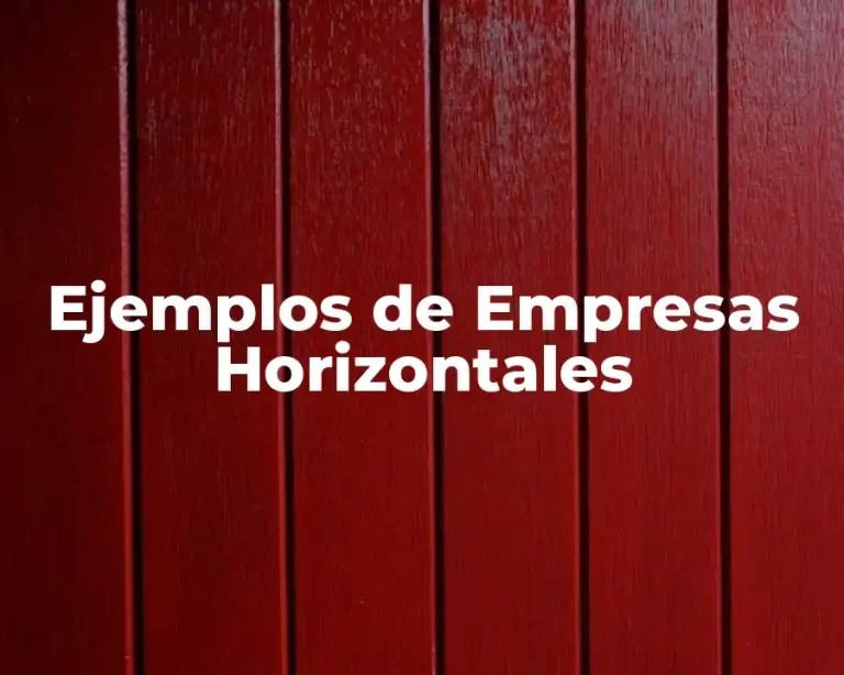 Ejemplos de Empresas Horizontales