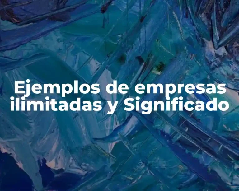 Ejemplos de empresas ilimitadas y Significado