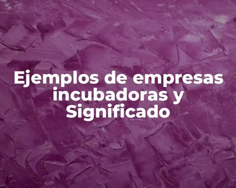 Ejemplos de empresas incubadoras y Significado