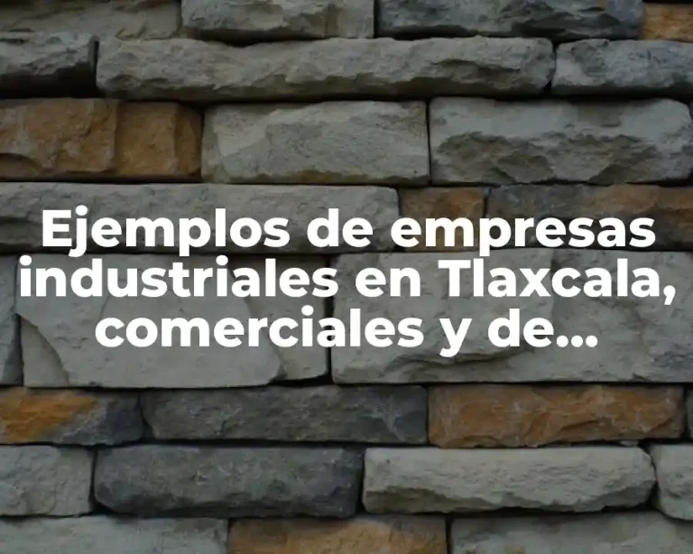 Ejemplos de empresas industriales en Tlaxcala, comerciales y de servicios y Significado