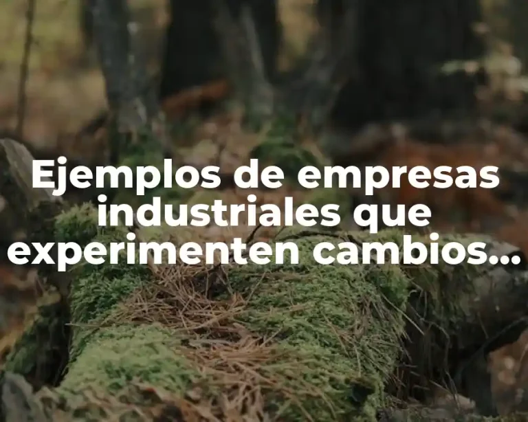 Ejemplos de empresas industriales que experimenten cambios tecnológicos