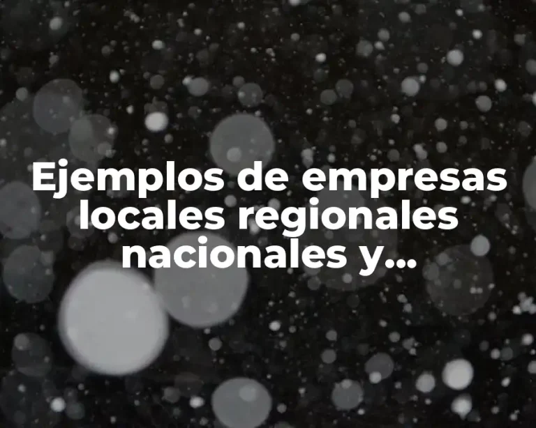 Ejemplos de empresas locales regionales nacionales y multinacionales y Significado