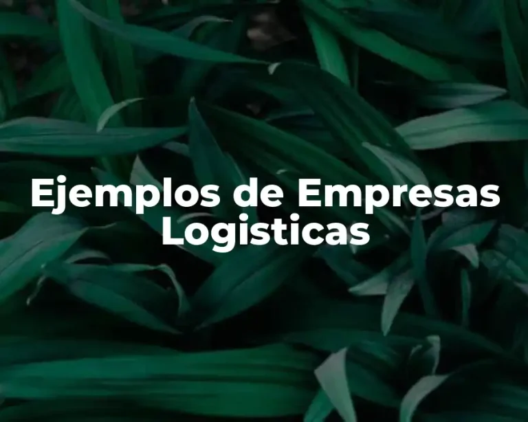 Ejemplos de Empresas Logisticas