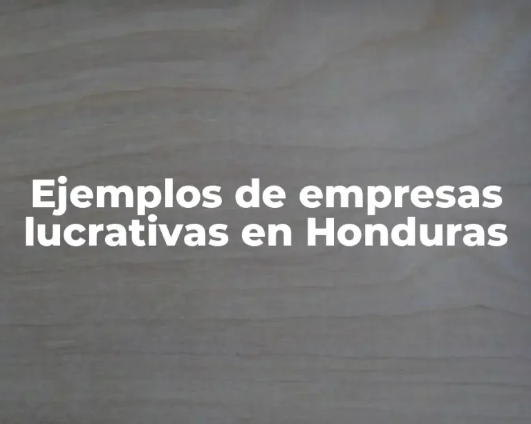 Ejemplos de empresas lucrativas en Honduras