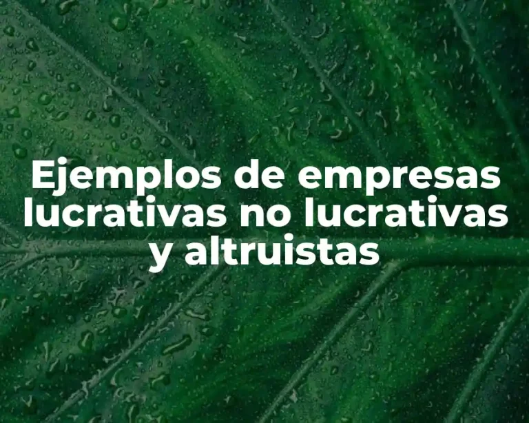 Ejemplos de empresas lucrativas no lucrativas y altruistas