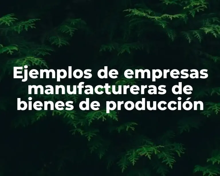 Ejemplos de empresas manufactureras de bienes de producción