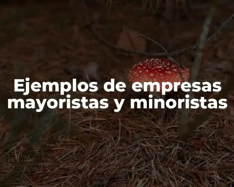 Ejemplos de empresas mayoristas y minoristas