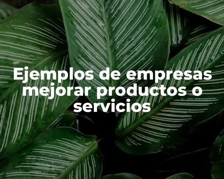Ejemplos de empresas mejorar productos o servicios