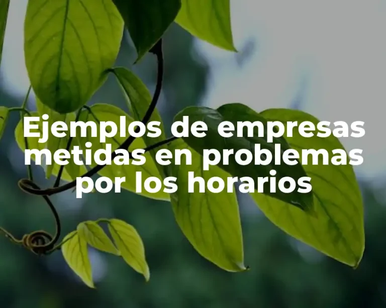 Ejemplos de empresas metidas en problemas por los horarios