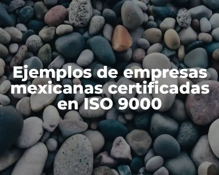Ejemplos de empresas mexicanas certificadas en ISO 9000