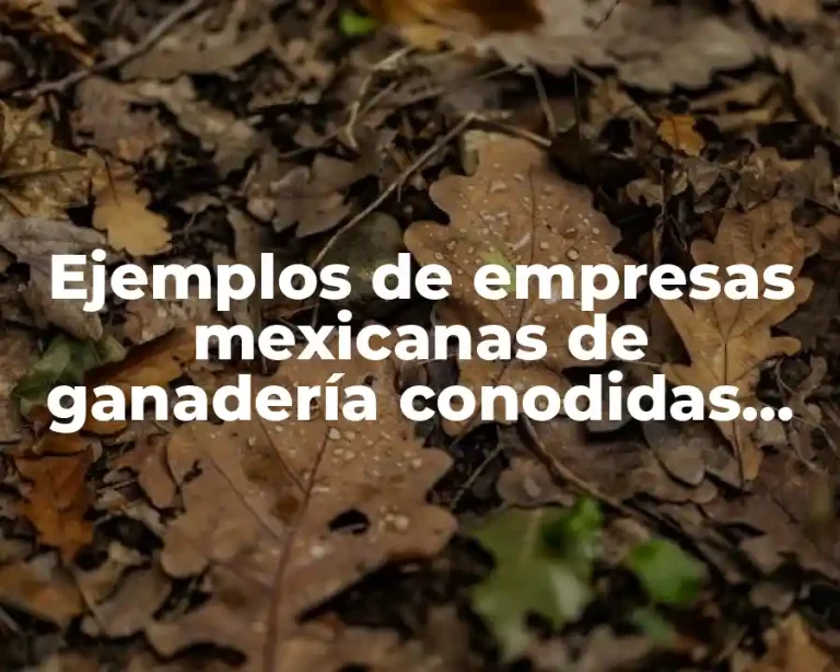 Ejemplos de empresas mexicanas de ganadería conodidas por agricultura