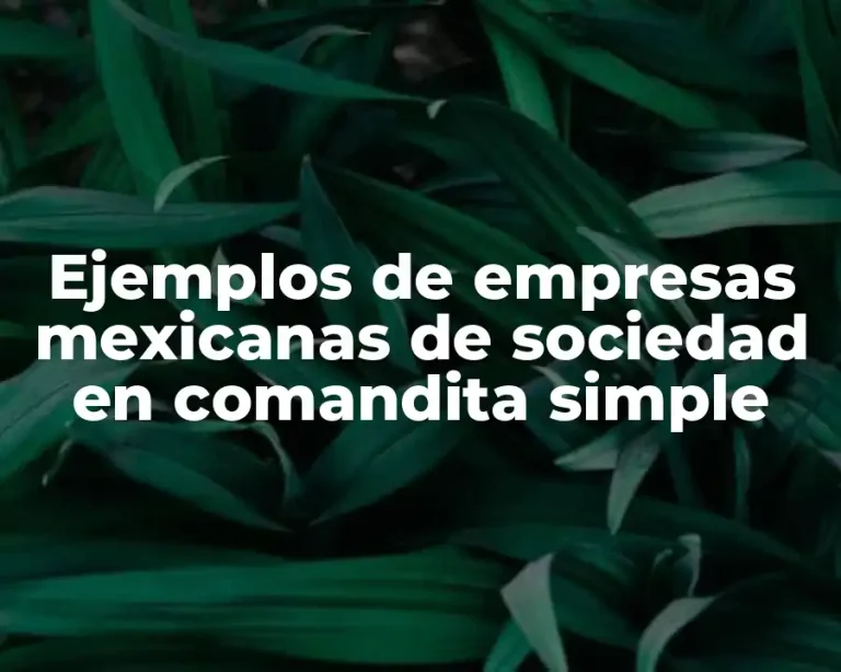 Ejemplos de empresas mexicanas de sociedad en comandita simple