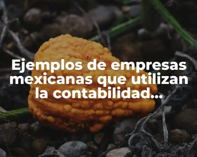 Ejemplos de empresas mexicanas que utilizan la contabilidad administrativa