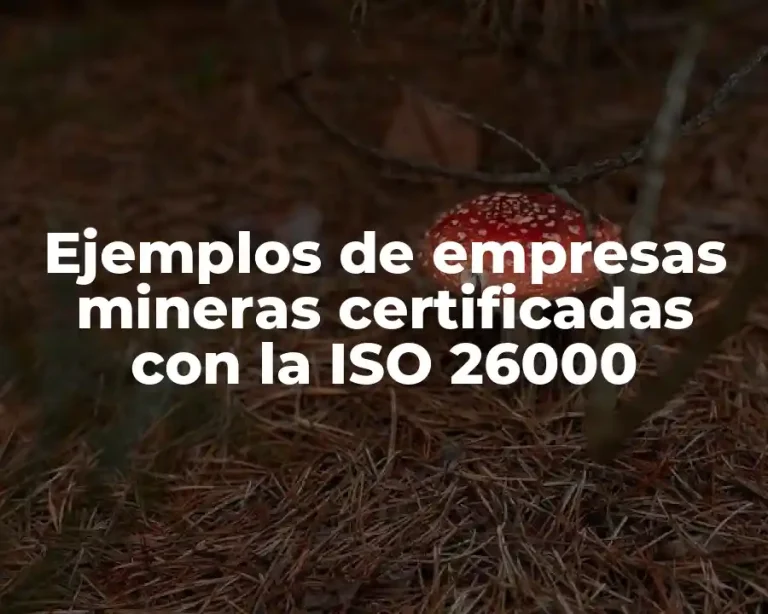 Ejemplos de empresas mineras certificadas con la ISO 26000