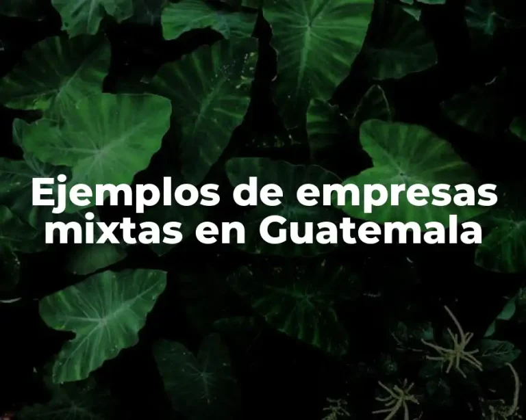 Ejemplos de empresas mixtas en Guatemala