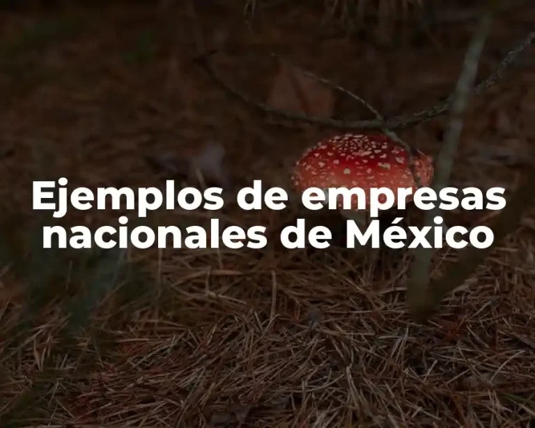 Ejemplos de empresas nacionales de México
