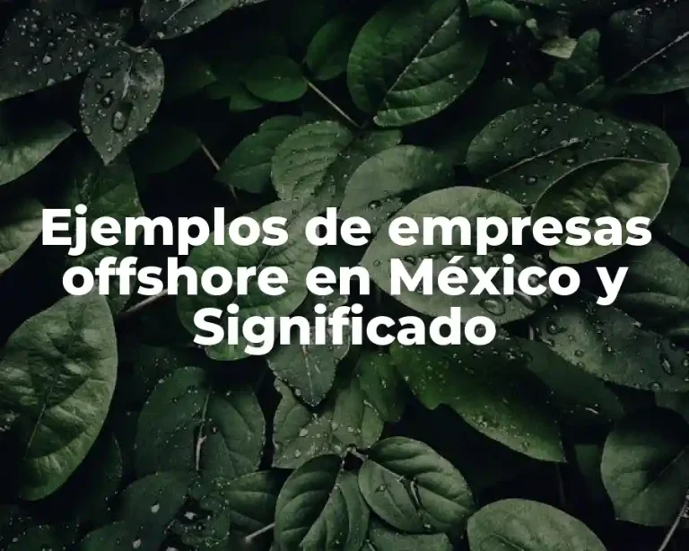 Ejemplos de empresas offshore en México y Significado