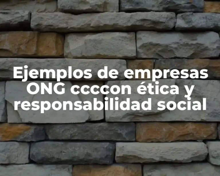 Ejemplos de empresas ONG ccccon ética y responsabilidad social