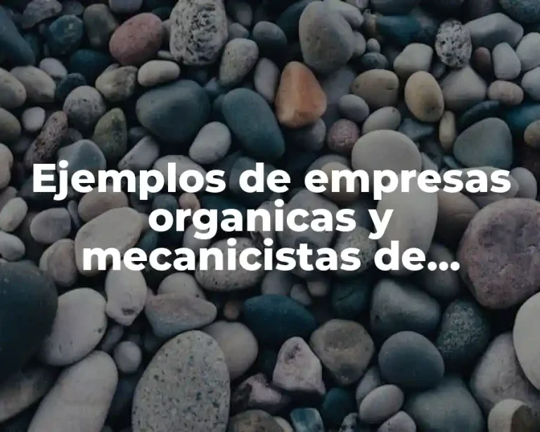 Ejemplos de empresas organicas y mecanicistas de industria