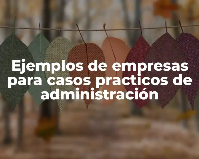Ejemplos de empresas para casos practicos de administración