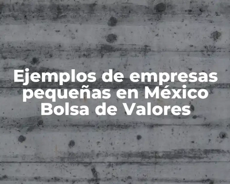 Ejemplos de empresas pequeñas en México Bolsa de Valores