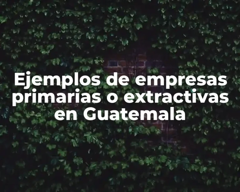 Ejemplos de empresas primarias o extractivas en Guatemala