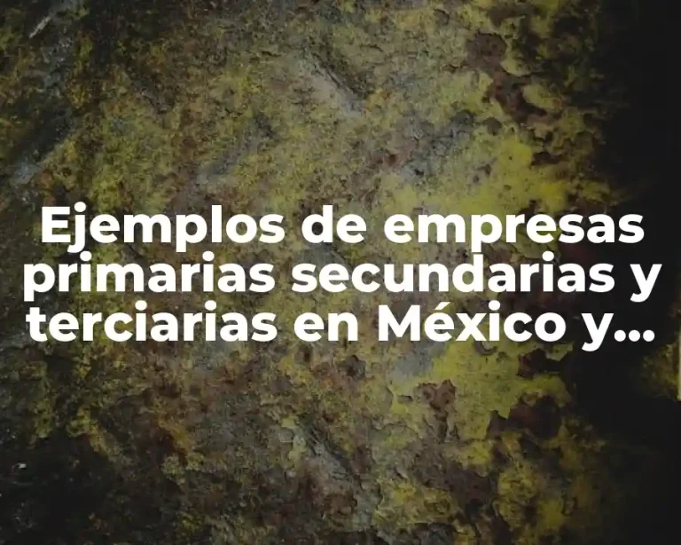 Ejemplos de empresas primarias secundarias y terciarias en México y Significado