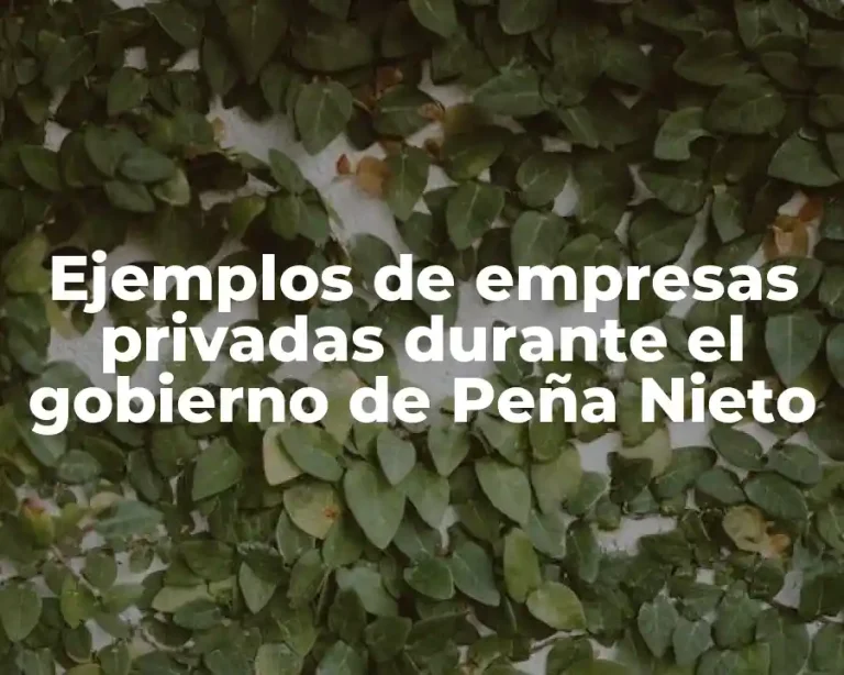 Ejemplos de empresas privadas durante el gobierno de Peña Nieto