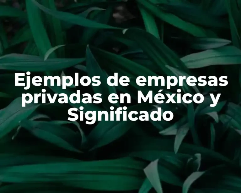 Ejemplos de empresas privadas en México y Significado