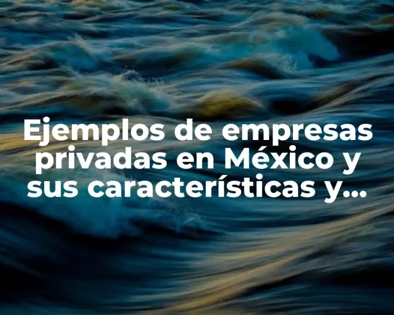 Ejemplos de empresas privadas en México y sus características y Significado