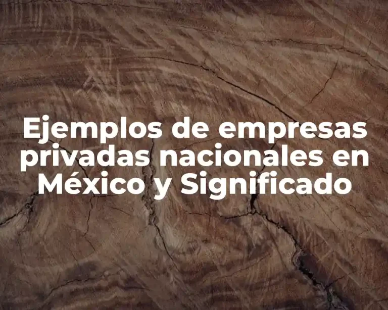 Ejemplos de empresas privadas nacionales en México y Significado