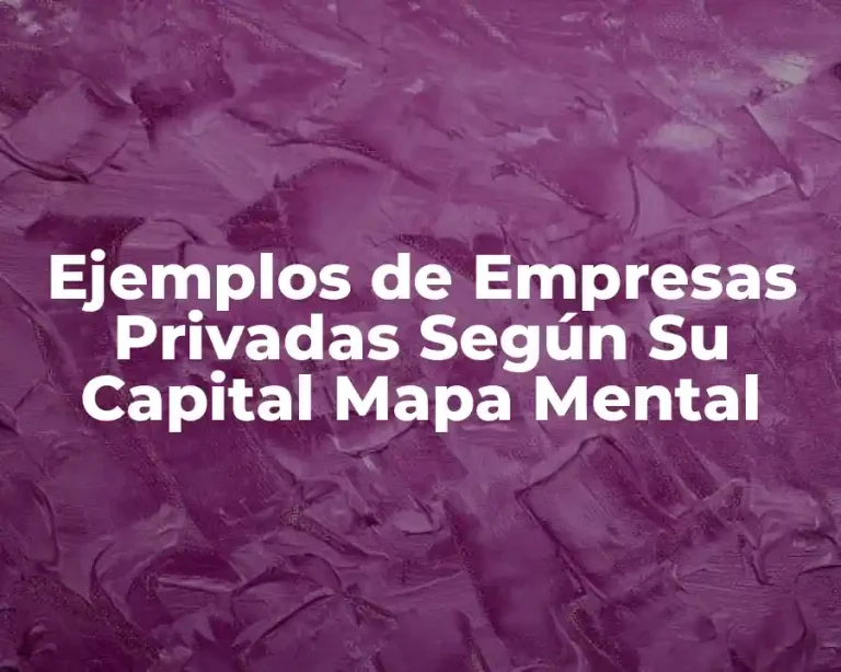 Ejemplos de Empresas Privadas Según Su Capital Mapa Mental
