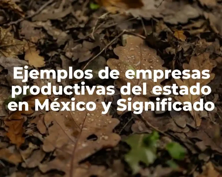 Ejemplos de empresas productivas del estado en México y Significado