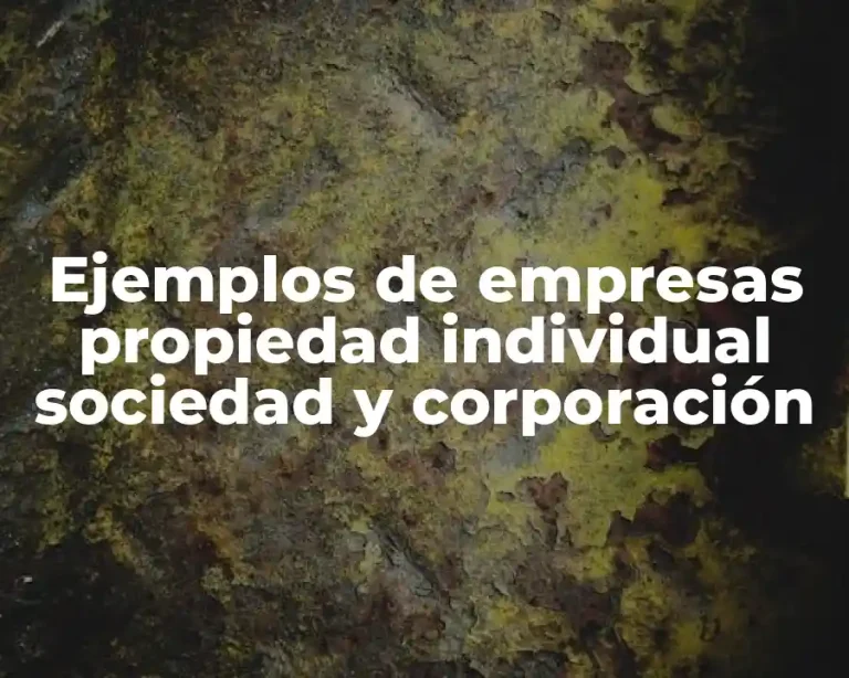 Ejemplos de empresas propiedad individual sociedad y corporación