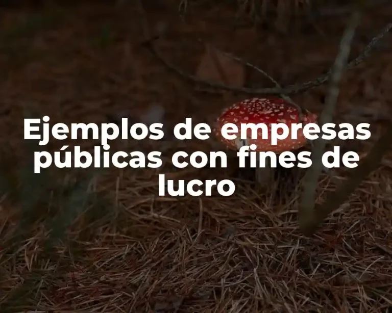 Ejemplos de empresas públicas con fines de lucro