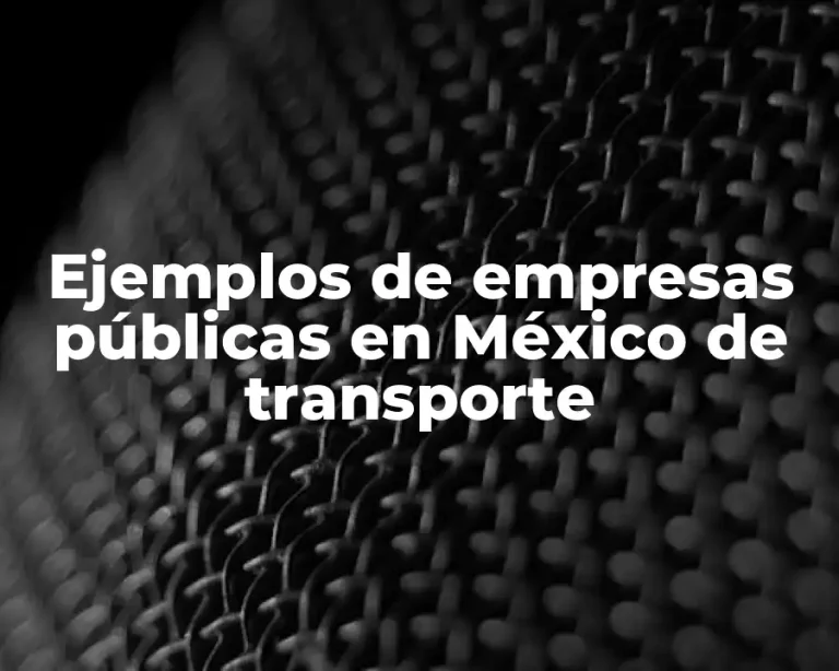 Ejemplos de empresas públicas en México de transporte