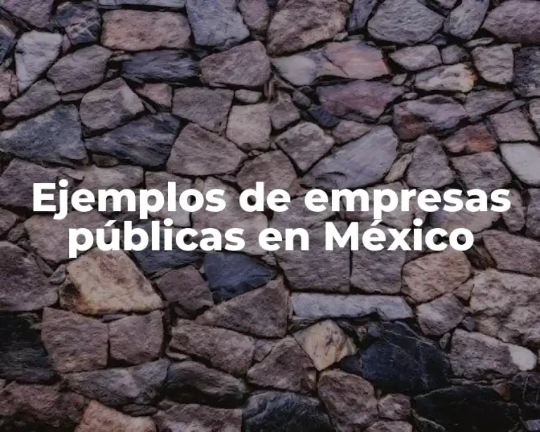 Ejemplos de empresas públicas en México