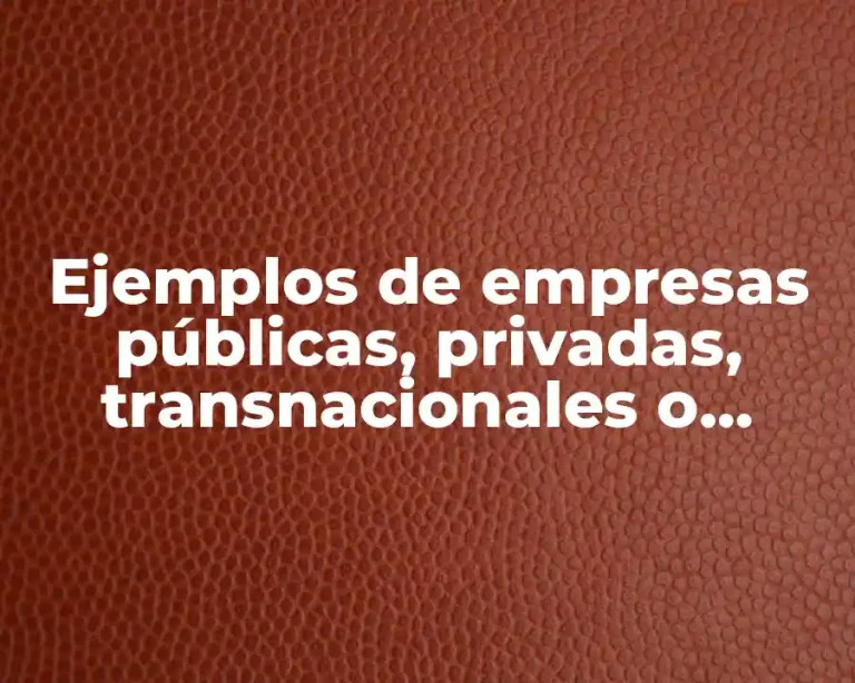 Ejemplos de empresas públicas, privadas, transnacionales o extranjeras y mixtas y Significado