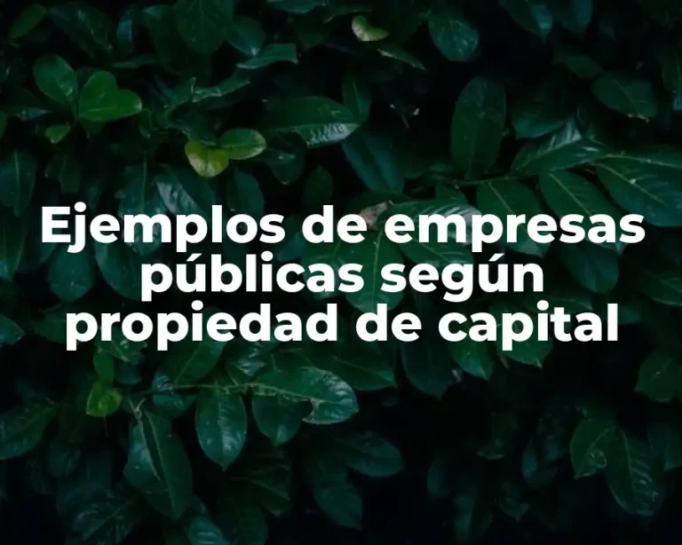 Ejemplos de empresas públicas según propiedad de capital