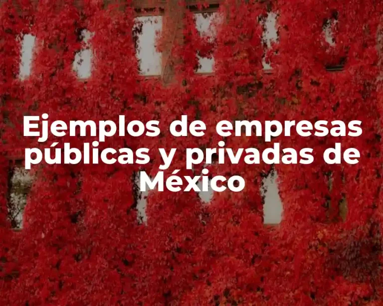Ejemplos de empresas públicas y privadas de México