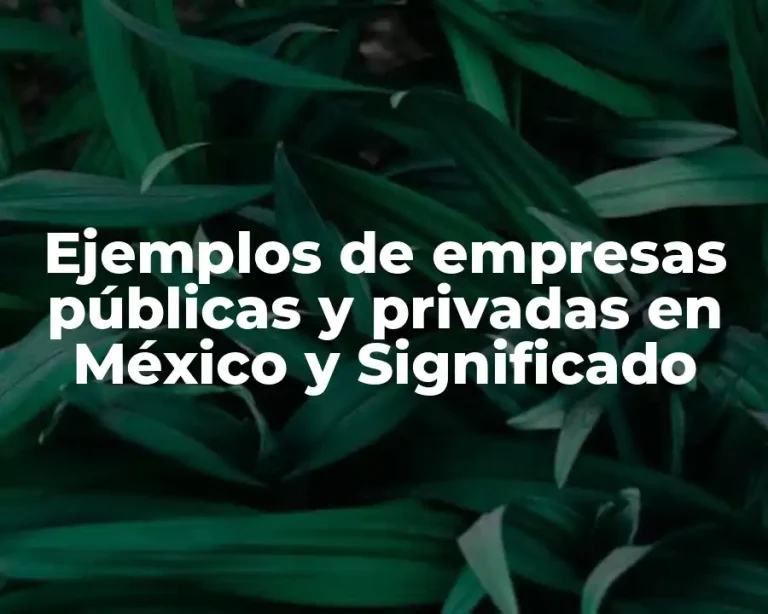 Ejemplos de empresas públicas y privadas en México y Significado