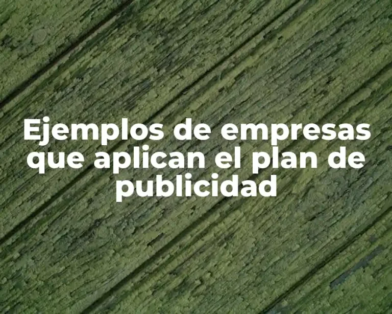 Ejemplos de empresas que aplican el plan de publicidad