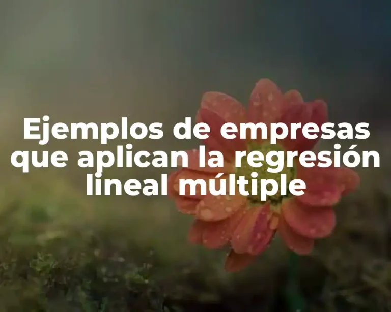 Ejemplos de empresas que aplican la regresión lineal múltiple