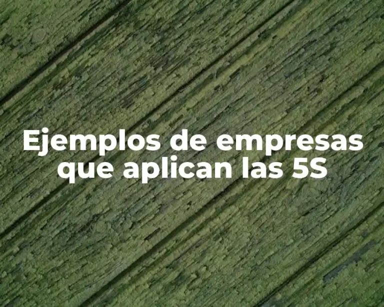 Ejemplos de empresas que aplican las 5S