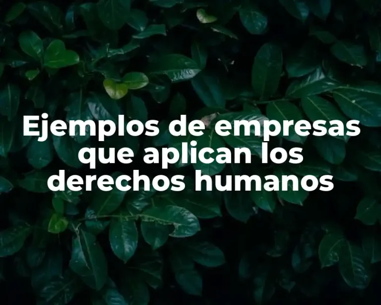 Ejemplos de empresas que aplican los derechos humanos